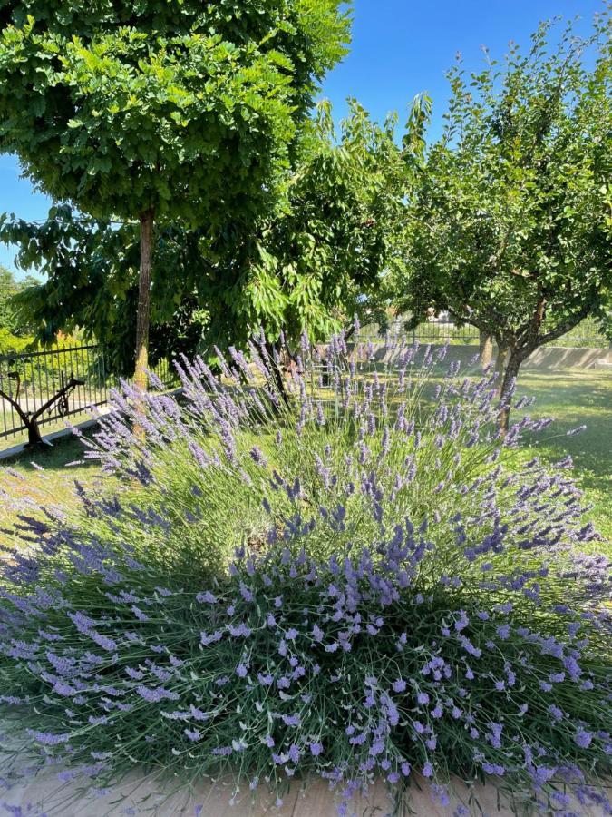 Villa Duje Trilj Esterno foto